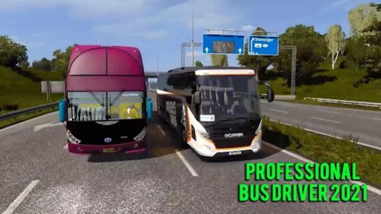 专业巴士司机2021