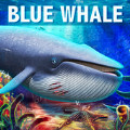 深海蓝鲸模拟 v1.2.0