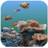 3d海底世界动态屏保（3D海底世界动态壁纸）